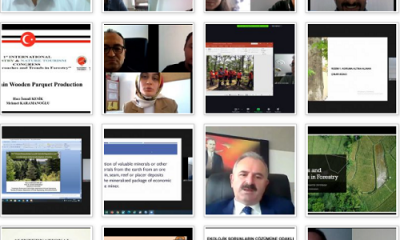 I. Uluslararası Ormancılık ve Tabiat Turizmi E-Kongresi