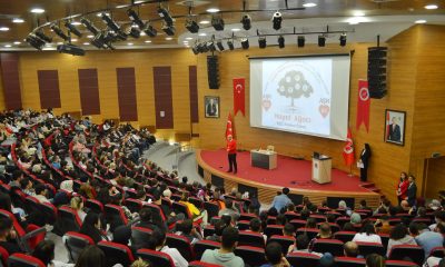 Bir Girişimcinin Hikayesi