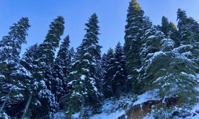 Ilgaz Dağı Beyaz Örtüsüne Büründü