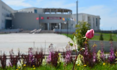 Kampüse Bahar Geldi