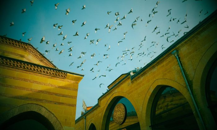 Bir Aralık Günü Kastamonu Sokaklarında