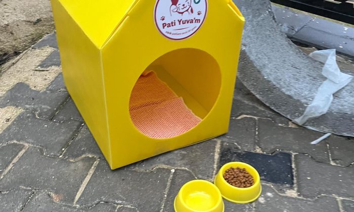 Kastamonu’da Öğrencilerden Sokak Kedilerine Destek